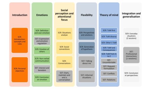 PICSIS : Programme intégratif de cognition sociale et d’interactions sociales